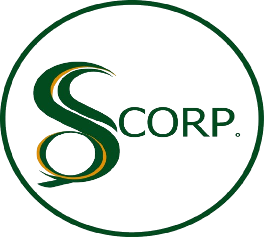 DS CorpBD Logo